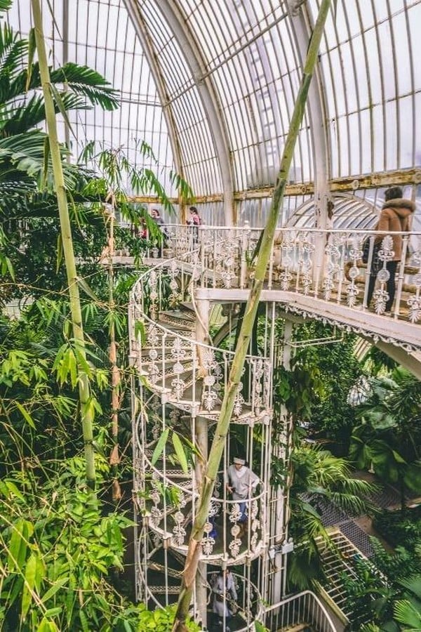 Historic Glasshouse at Kew Gardens, London-Sheet13