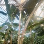 Historic Glasshouse at Kew Gardens, London-Sheet16