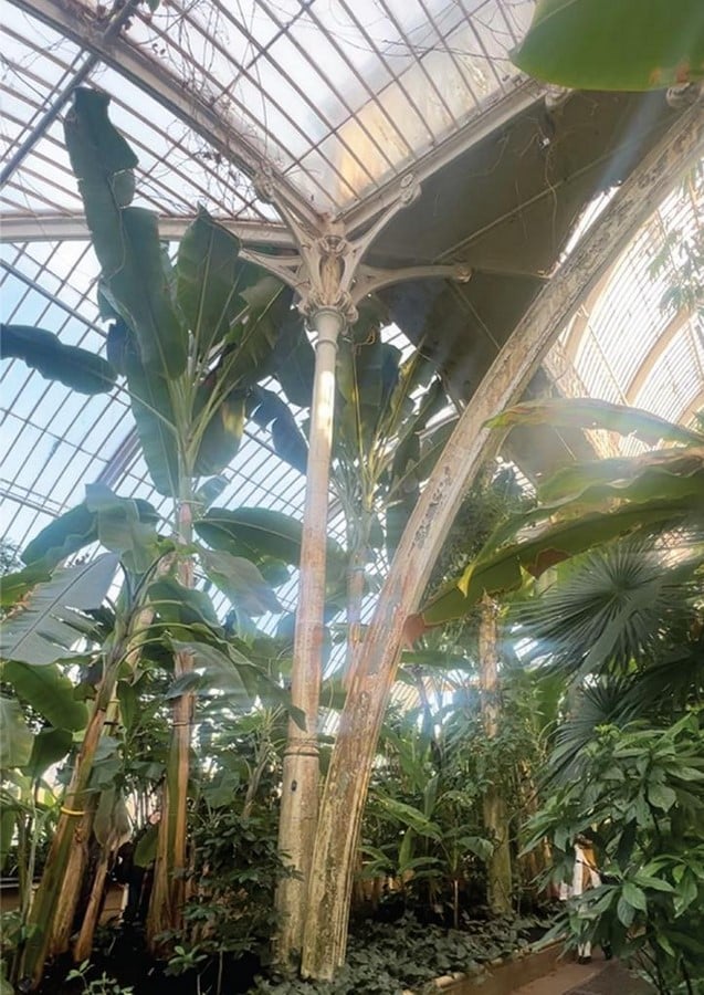 Historic Glasshouse at Kew Gardens, London-Sheet16