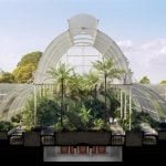 Historic Glasshouse at Kew Gardens, London-Sheet18