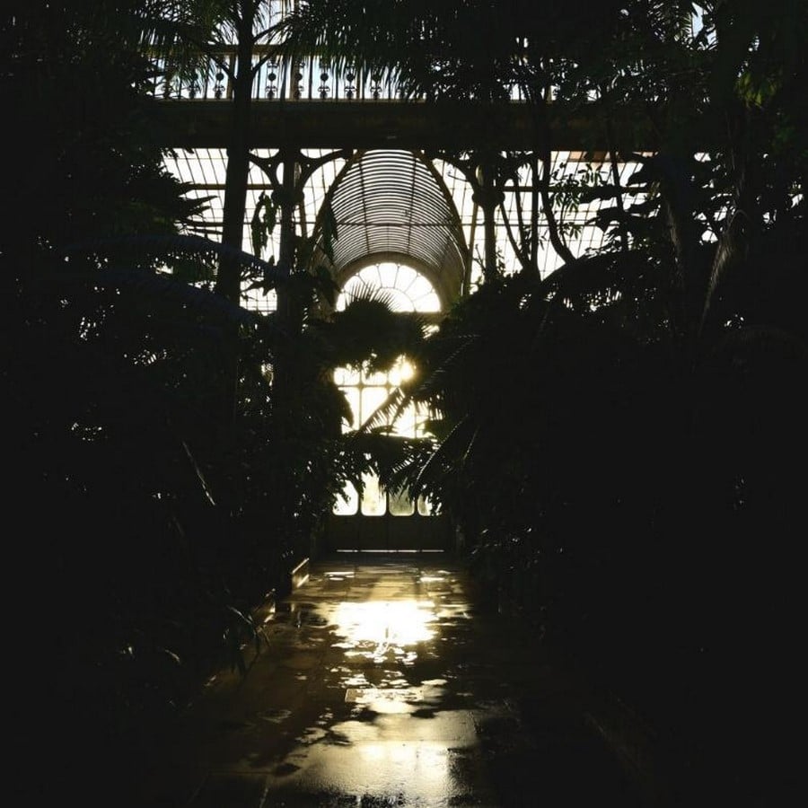 Historic Glasshouse at Kew Gardens, London-Sheet22