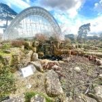 Historic Glasshouse at Kew Gardens, London-Sheet5