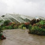 Historic Glasshouse at Kew Gardens, London-Sheet6