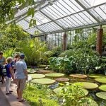 Historic Glasshouse at Kew Gardens, London-Sheet7