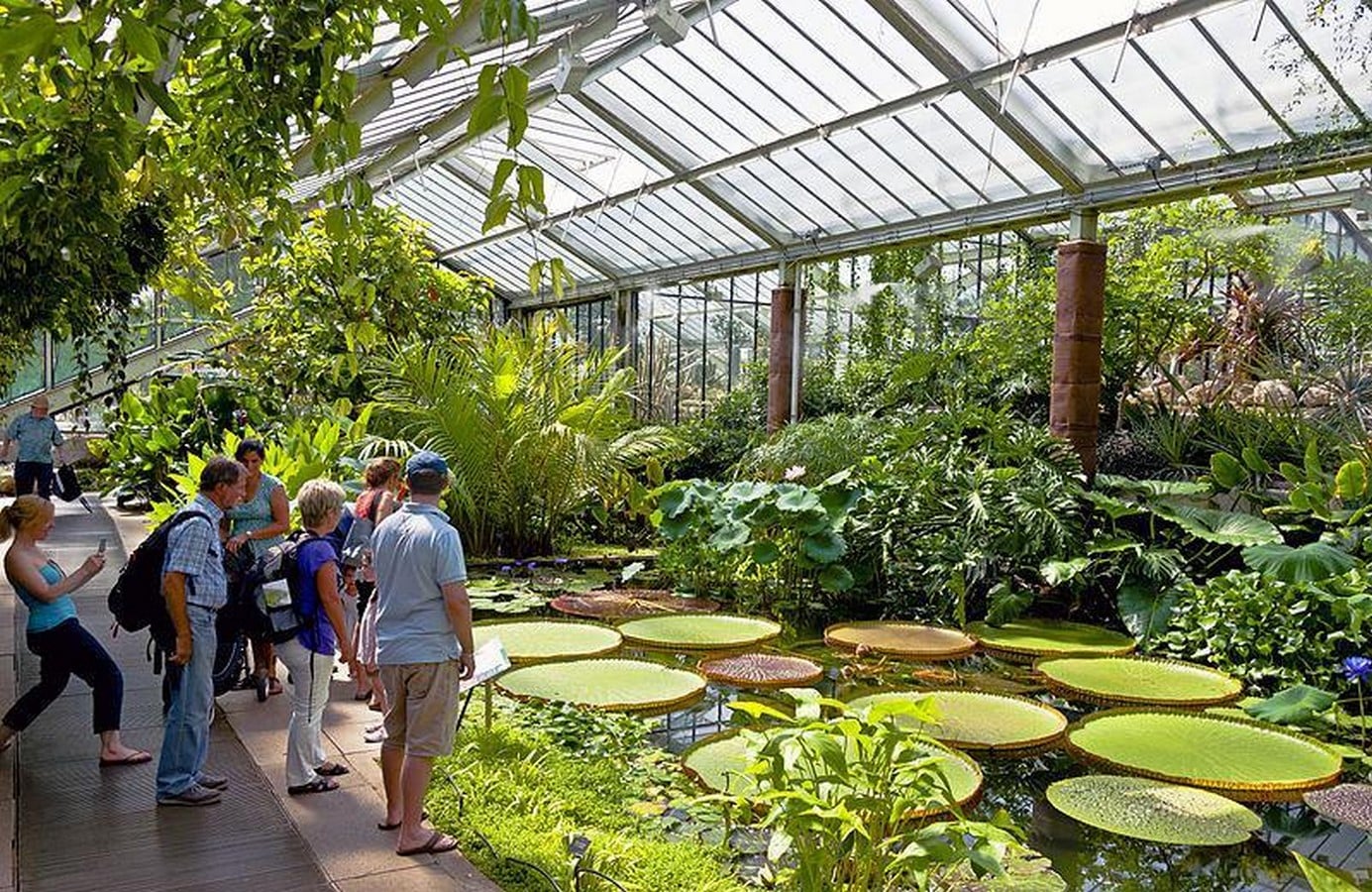 Historic Glasshouse at Kew Gardens, London-Sheet7