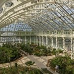 Historic Glasshouse at Kew Gardens, London-Sheet9