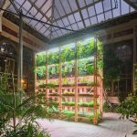 Exhibition at the Hivernacle in Parc de la Ciutadella-Sheet9