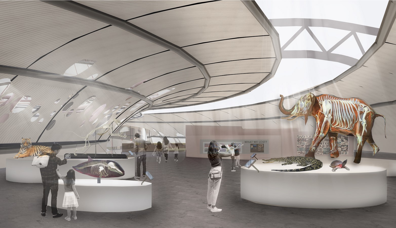 Unveiling Biodiversity A Natural History Museum Complex for Discovering the Treasu-Sheet3