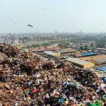 The Impact of Urbanization on Communities-Sheet2