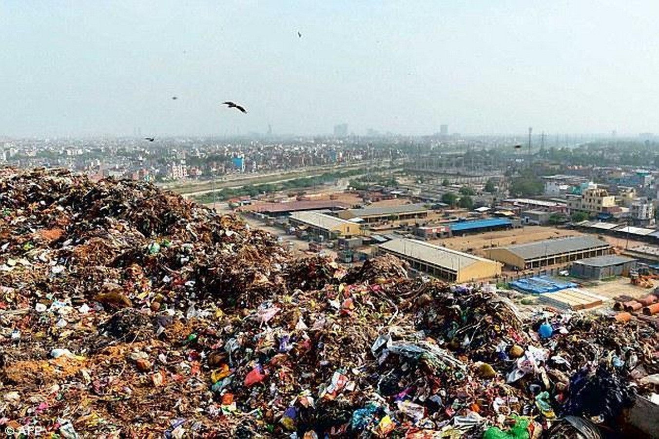 The Impact of Urbanization on Communities-Sheet2