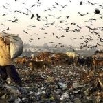 The Impact of Urbanization on Communities-Sheet3