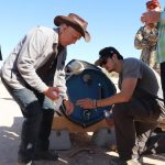 Humane Architecture in the Arizona Borderlands; Architecture Beyond Walls-Sheet7