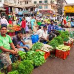 Spontaneous Order in Architecture and Urban Life-Sheet3