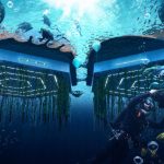 Water Architecture Redefining Spaces with the Wave-Sheet14