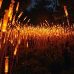 Healing Light by luzinterruptus-Sheet6