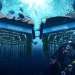Floating Cities and Biodiversity-Sheet3