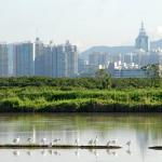 The Future of Urban Design Innovations That Will Reshape Our Cities-Sheet61