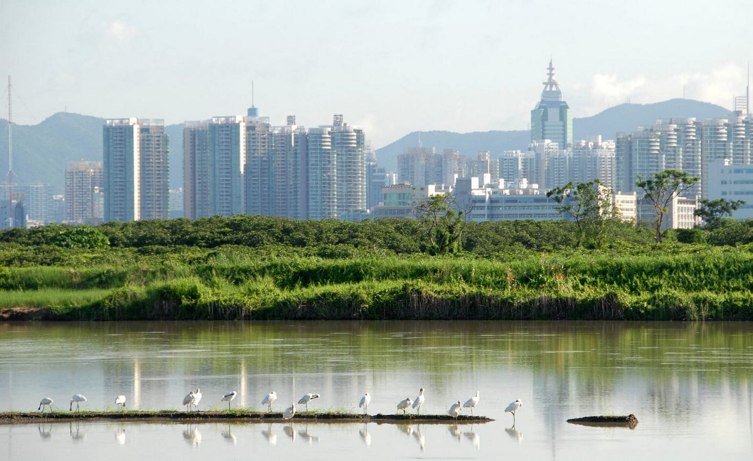 The Future of Urban Design Innovations That Will Reshape Our Cities-Sheet61