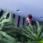 House Around The Tree by Bojórquez arquitectos -Sheet1