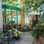 House Around The Tree by Bojórquez arquitectos -Sheet7