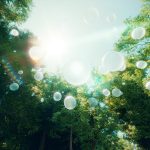 D H2 Ome by Cosimo Scotucci-Sheet1