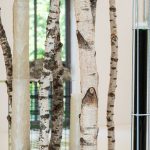 DeepForest³ by ecoLogicStudio-Sheet5