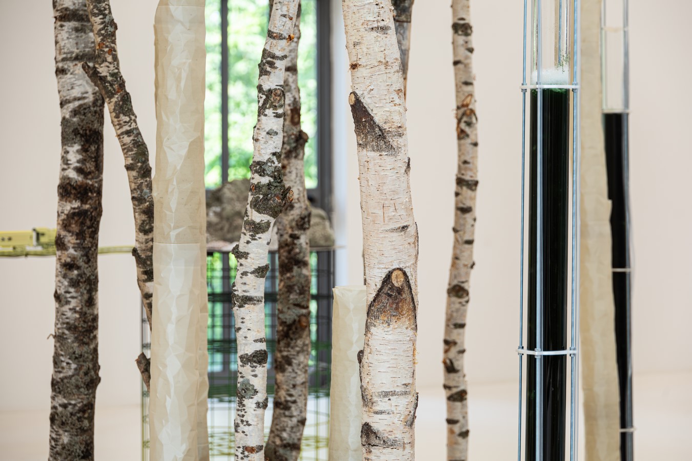 DeepForest³ by ecoLogicStudio-Sheet5