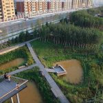 Rethinking Our Cities Where Nature and Imagination Meet-Sheet3