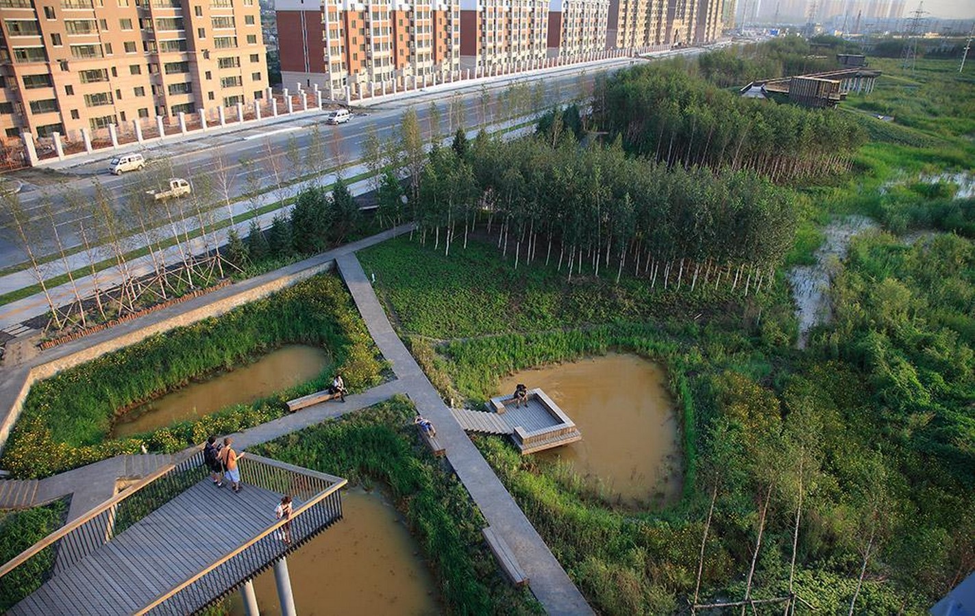 Rethinking Our Cities Where Nature and Imagination Meet-Sheet3