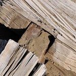 The Lost Art of Wooden Architecture in India Carvings, Techniques, and Heritage-Sheet3