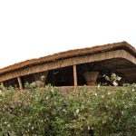 Role of cultural memory and traditional systems in future-facing designs In the Indian context-Sheet6