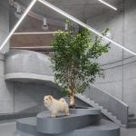 Veterinary Hospital by Davide Macullo Architects-Sheet2