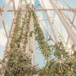 Kaleidosteeple by Maetherea-Sheet10