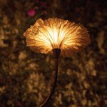 Victoria Lily A Sculptural Ode to Nature in Light by Oorjaa-Sheet2