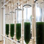 AIR.garden by ecoLogicStudio-Sheet5