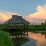 Coconut Lagoon Backwater Resort of Kerala-Sheet3