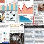 Sustainable Humane Design for Animals-Sheet2