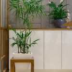 Vitasti Design Studio by Vitasti Design Studio-Sheet2