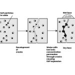 Biofabricated Materials-Sheet3