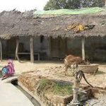 Architecture as Resistance Subaltern Narratives in Vernacular Built Forms-Sheet2