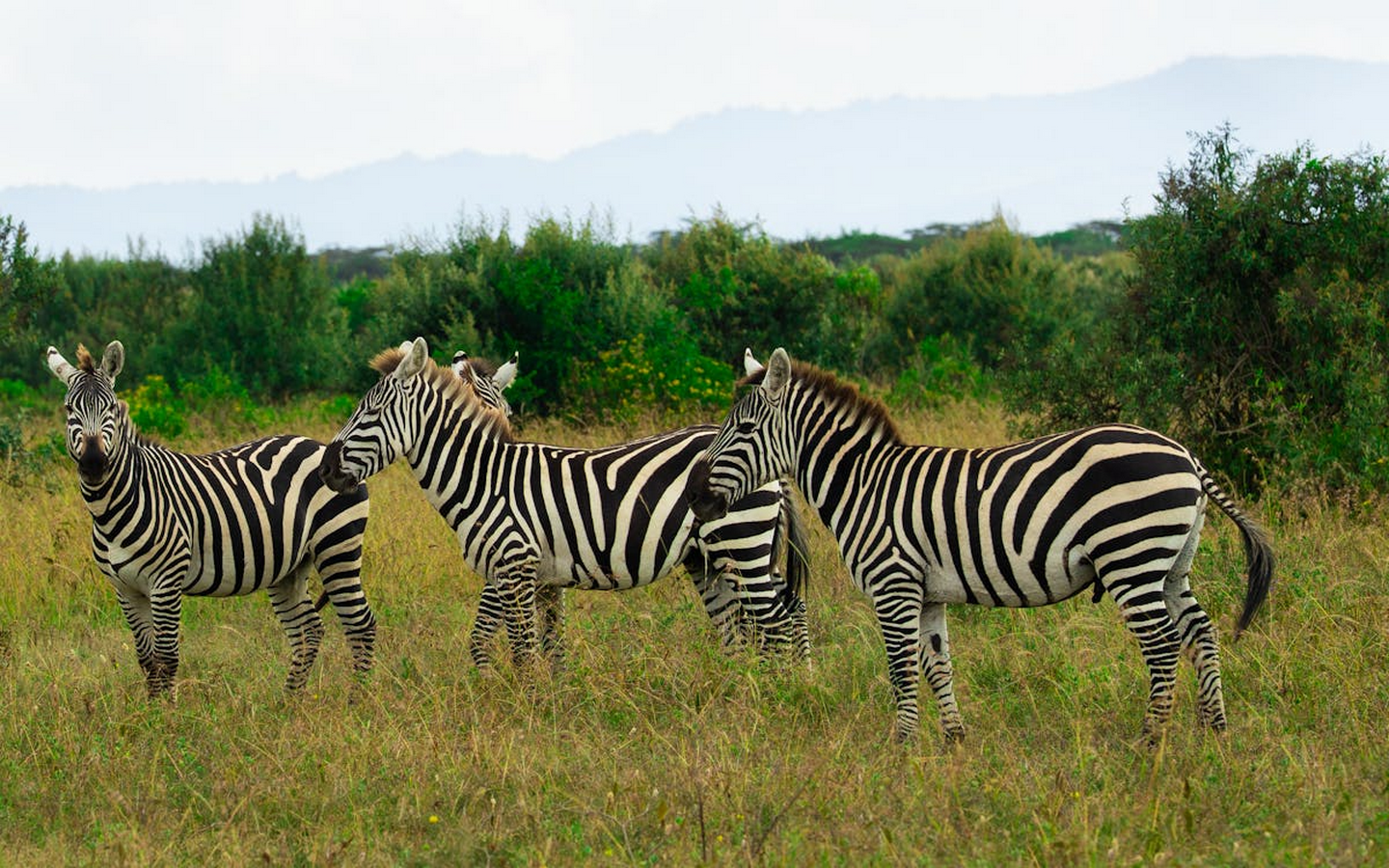 10 Reasons why every Architect should visit Kenya-Sheet17