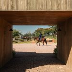 Haras Entrevero by Estíudio Mangava-Sheet1