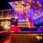 Zylo by Kakapo-Sheet11