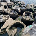 Living Breakwaters, Staten Island-sHEET4