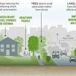 Urban Green Spaces as Climate Buffers-sHEET4
