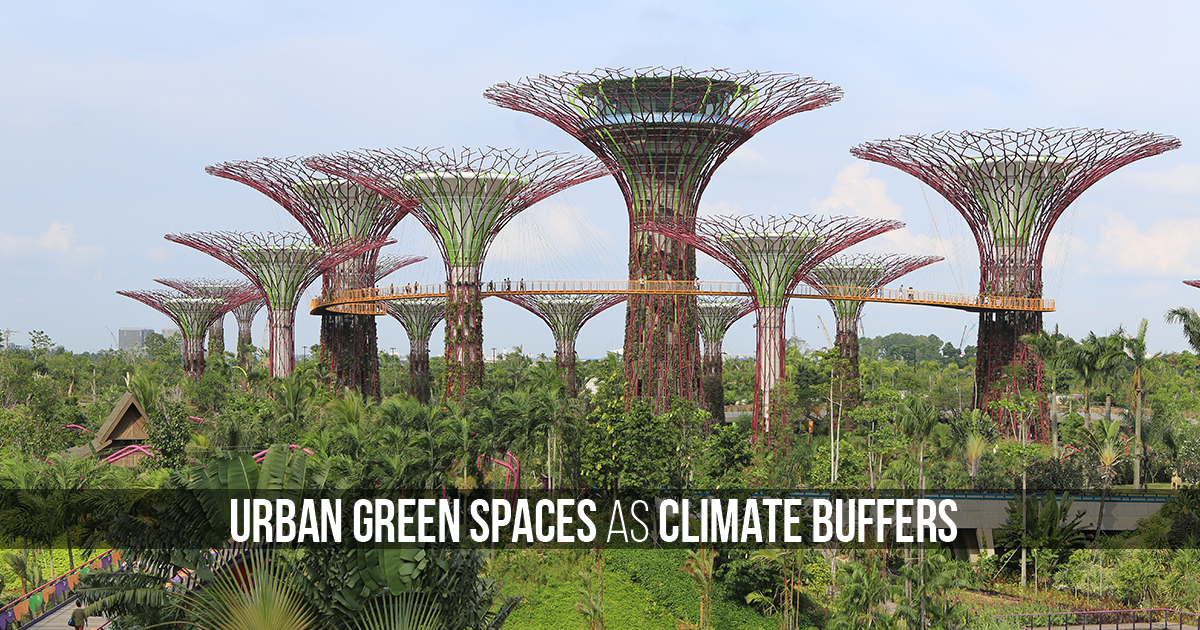 Urban Green Spaces as Climate Buffers - RTF | Rethinking The Future
