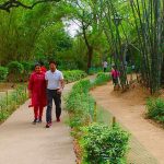 The Role of Open Spaces in Fostering Community Interaction-Sheet4