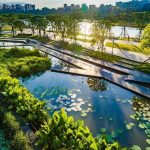 Rewilding Urban Spaces Through Post-Anthropocentric Thinking-Sheet3