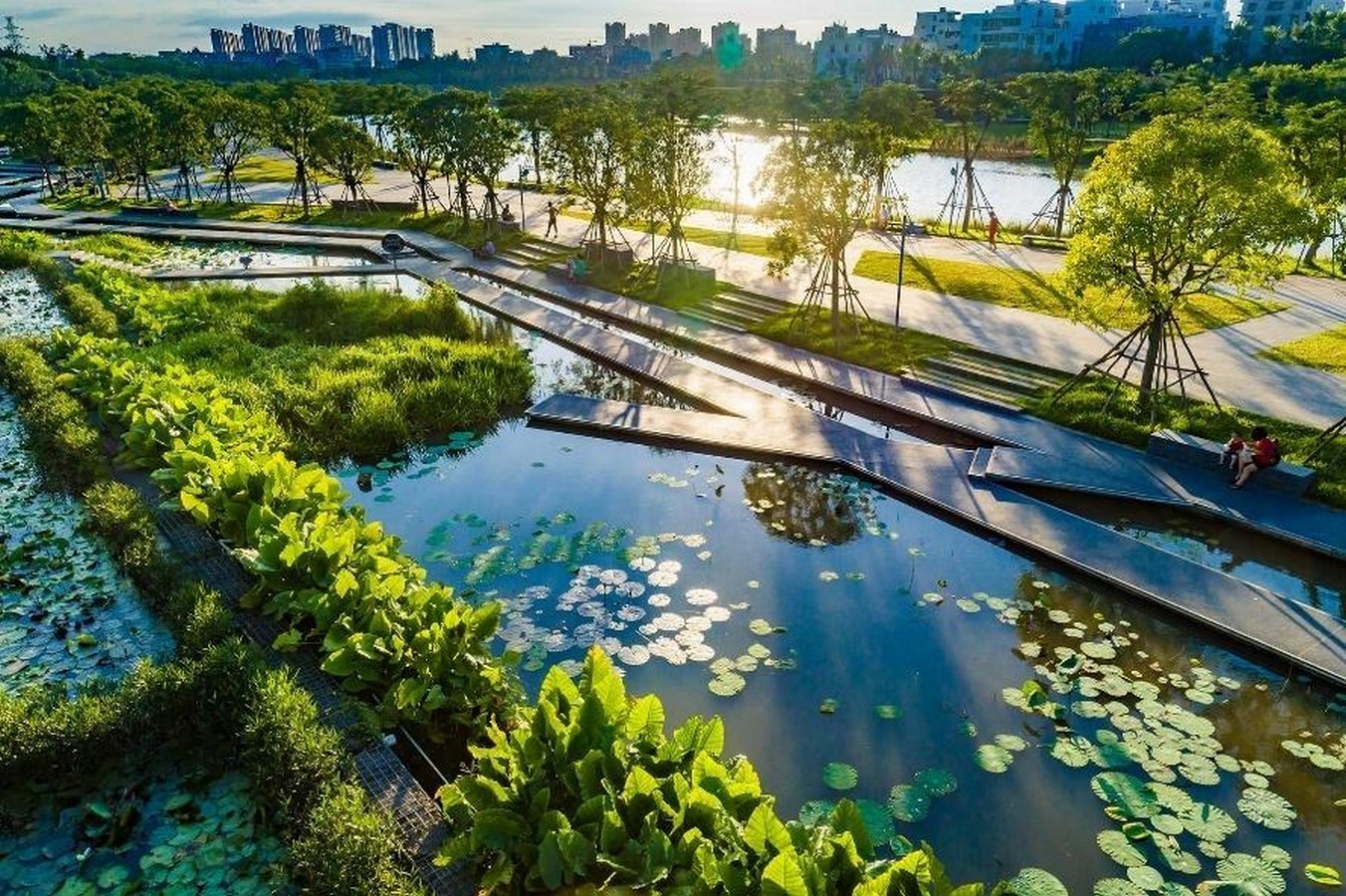 Rewilding Urban Spaces Through Post-Anthropocentric Thinking-Sheet3