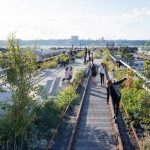 Rewilding Urban Spaces Through Post-Anthropocentric Thinking-Sheet4
